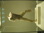 pan08124.jpg