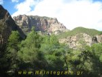 IMG_8528.JPG
