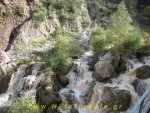 IMG_8557.JPG